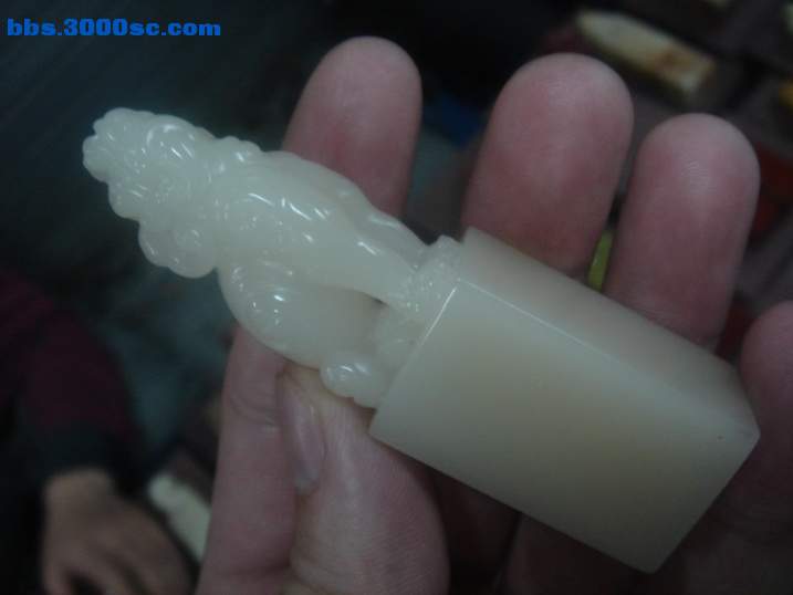 DSC05112_调整大小.JPG