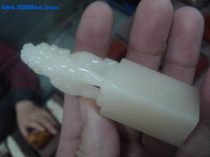 DSC05113_调整大小.JPG