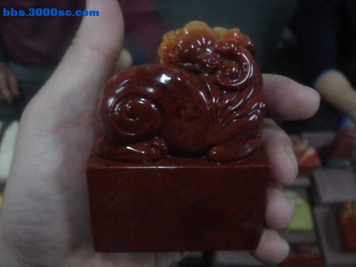 DSC05115_调整大小.JPG