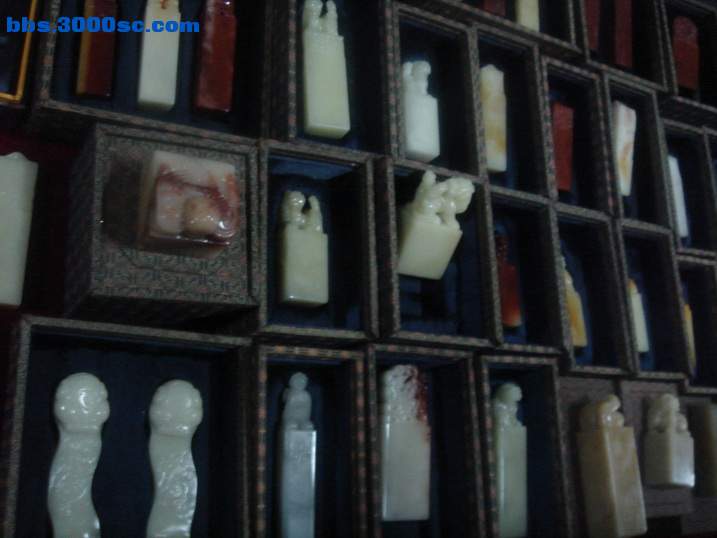 DSC05116_调整大小.JPG