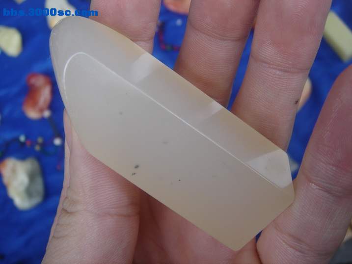 DSC05177_调整大小.JPG