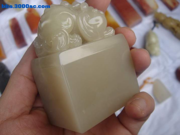 DSC05181_调整大小.JPG