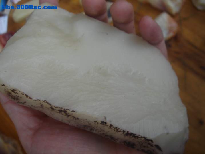 DSC05189_调整大小.JPG