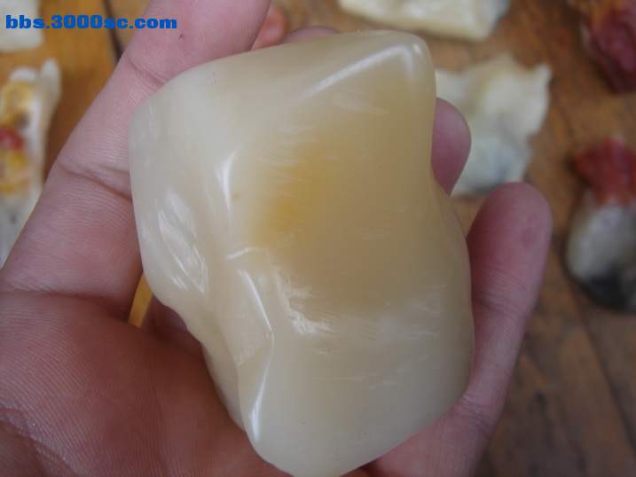 DSC05191_调整大小.JPG