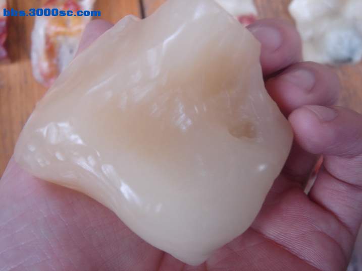 DSC05192_调整大小.JPG