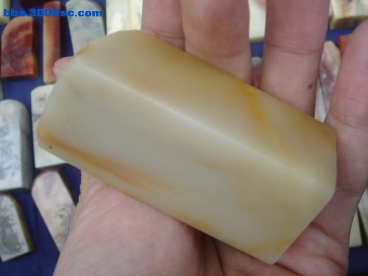 DSC05195_调整大小.JPG