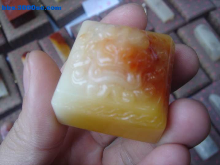 DSC05200_调整大小.JPG