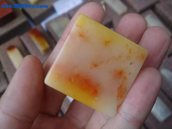 DSC05201_调整大小.JPG