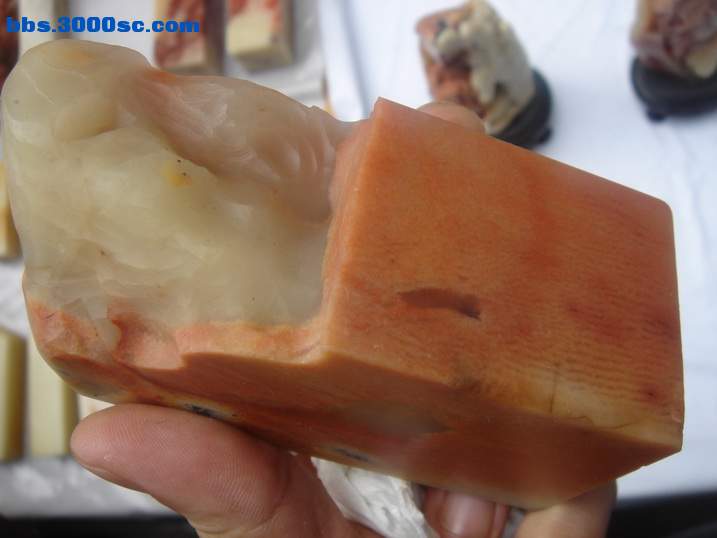 DSC05207_调整大小.JPG