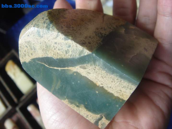 DSC05215_调整大小.JPG