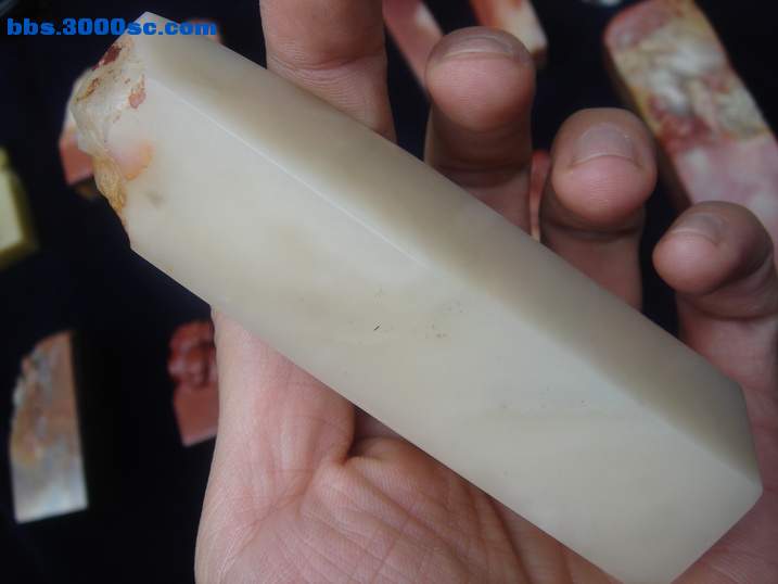 DSC05226_调整大小.JPG