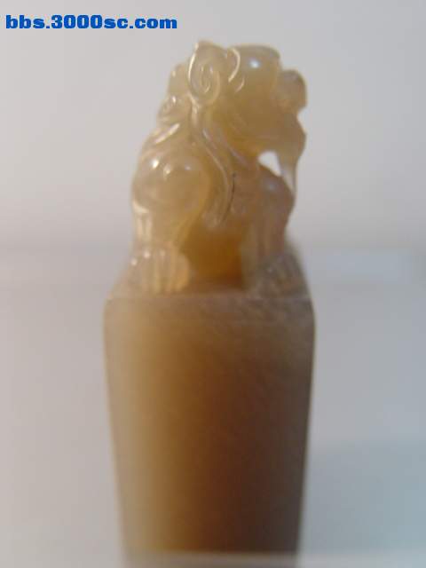 DSC00950.JPG