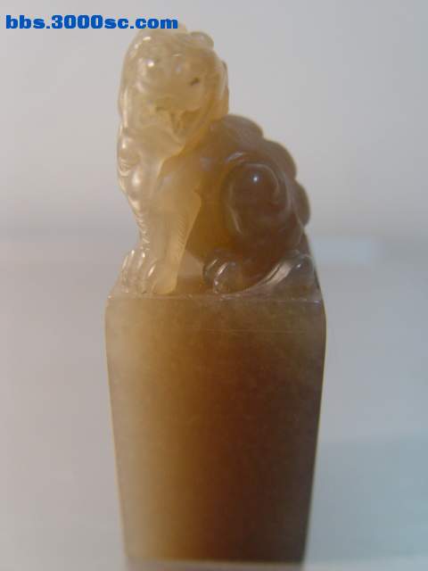 DSC00951.JPG