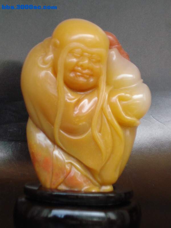 DSC00560.jpg