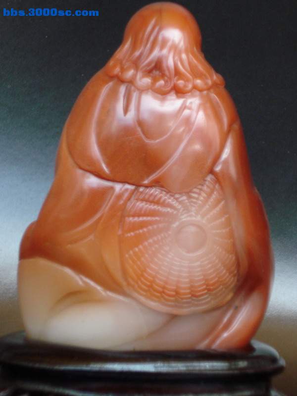 DSC00569.jpg