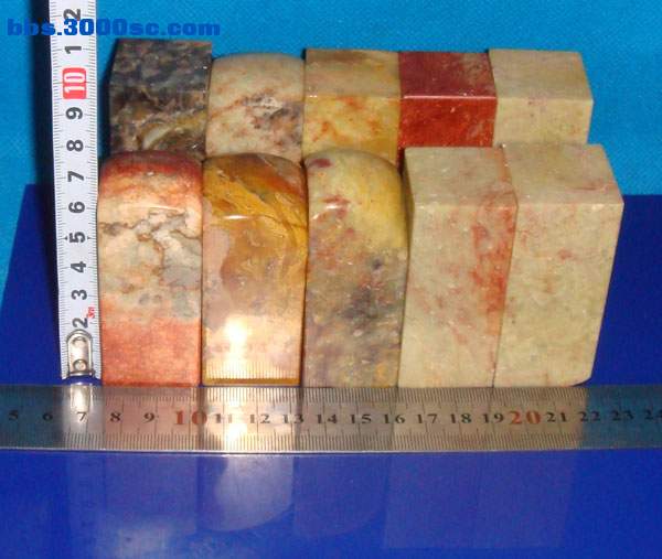 DSC01066.JPG