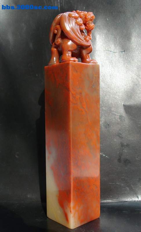 DSC01090.jpg