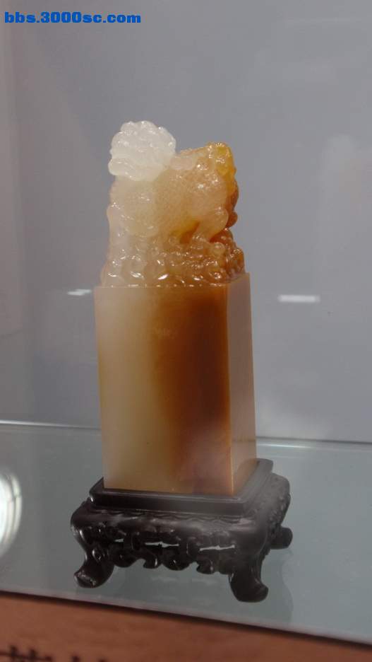 P5020043_调整大小_调整大小.jpg
