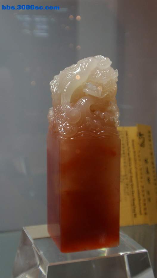 P5020033_调整大小_调整大小.jpg