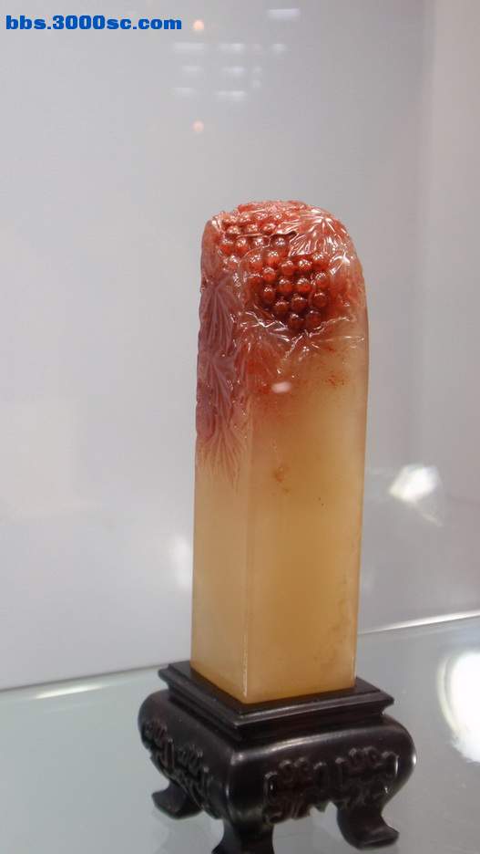 P5020045_调整大小_调整大小.jpg