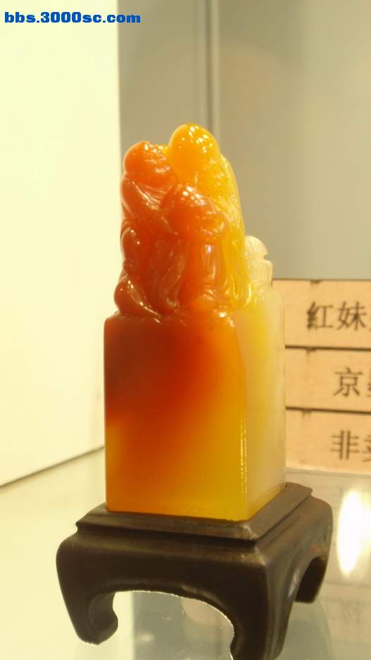 P5020062_调整大小_调整大小.jpg