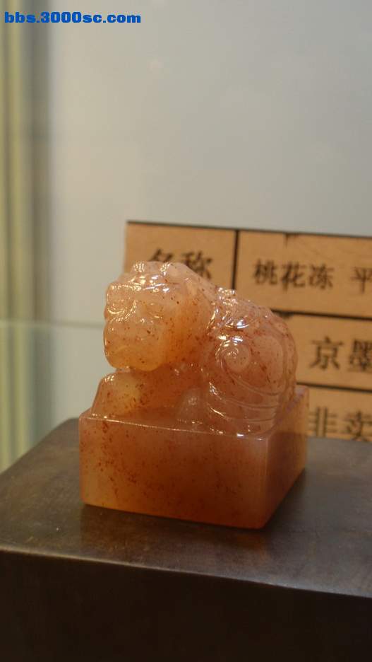 P5020068_调整大小_调整大小.jpg