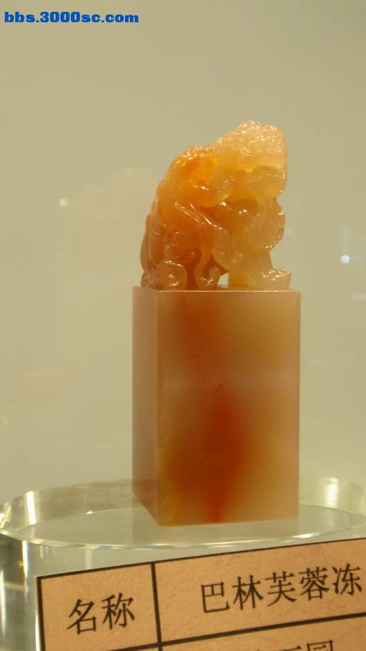 P5020097_调整大小_调整大小.jpg