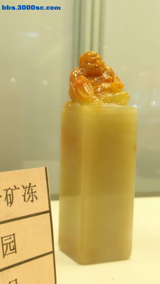 P5020105_调整大小_调整大小.jpg