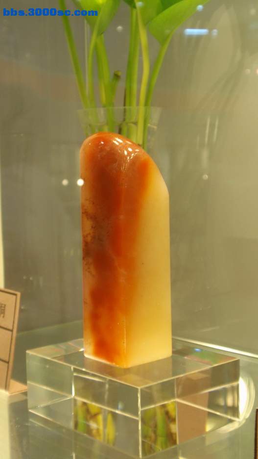 P5020128_调整大小_调整大小.jpg