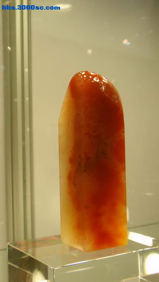 P5020131_调整大小_调整大小.jpg