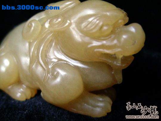 20090416_7f8fad7d71ff22fd9960M3sLPKUKp5L0.jpg