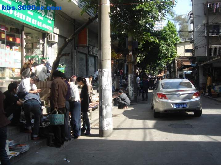 DSC05237_调整大小.JPG