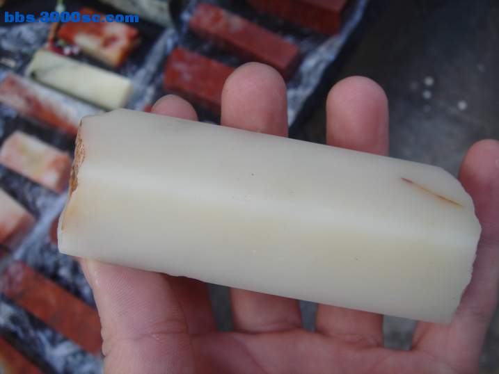 DSC05240_调整大小.JPG