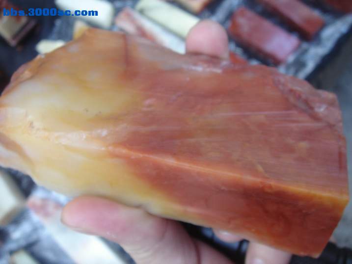 DSC05243_调整大小.JPG