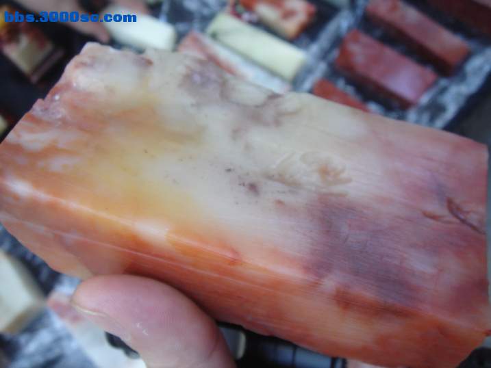 DSC05242_调整大小.JPG