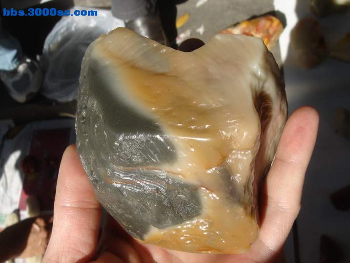 DSC05247_调整大小.JPG