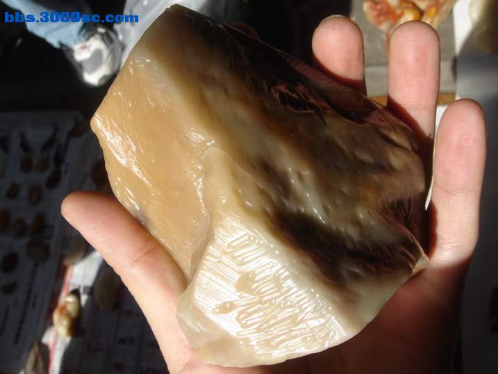 DSC05246_调整大小.JPG