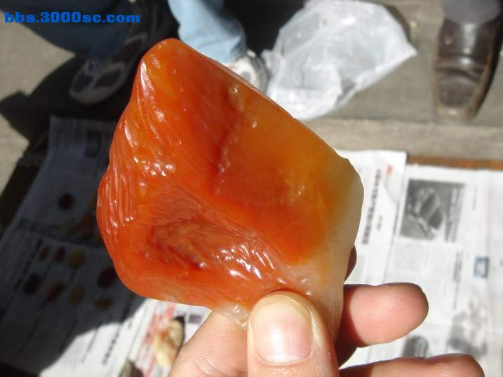 DSC05248_调整大小.JPG