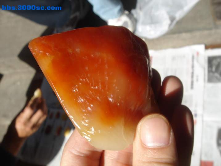 DSC05249_调整大小.JPG