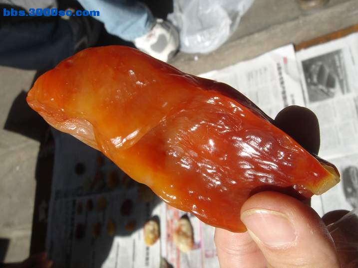 DSC05250_调整大小.JPG
