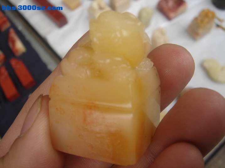 DSC05326_调整大小.JPG