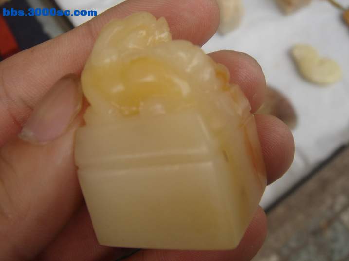 DSC05327_调整大小.JPG