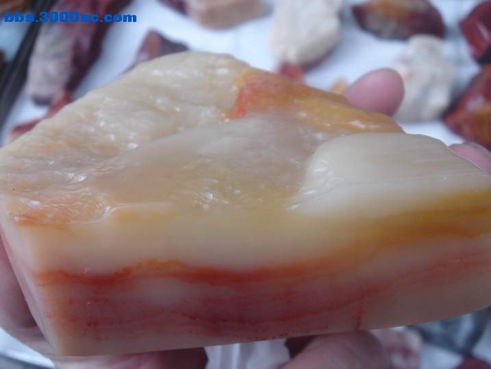 DSC05335_调整大小.JPG