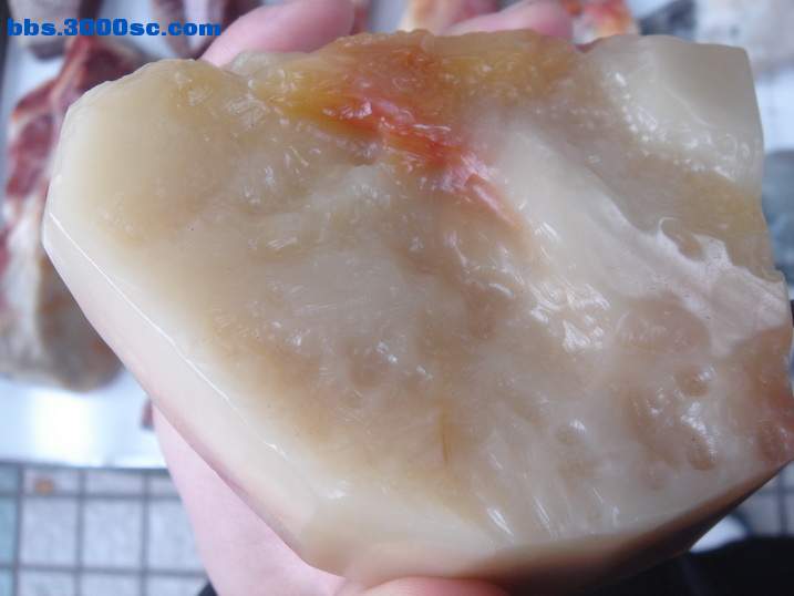 DSC05336_调整大小.JPG