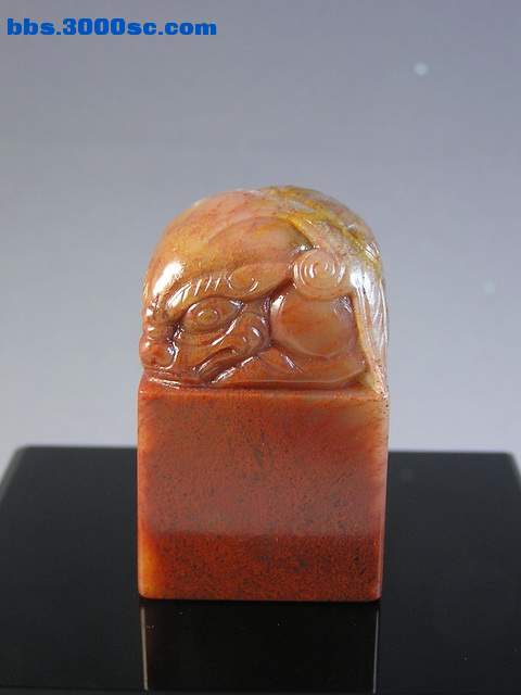 y11740.jpg