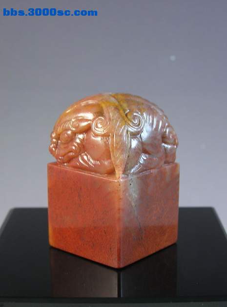 y11744.jpg