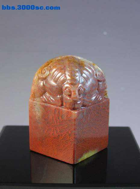 y11743.jpg
