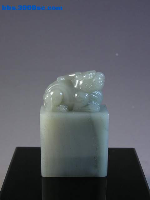 y11750.jpg