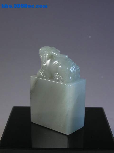 y11754.jpg