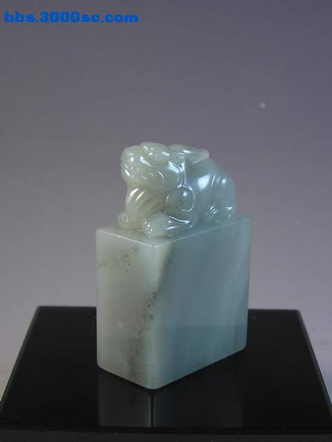 y11752.jpg